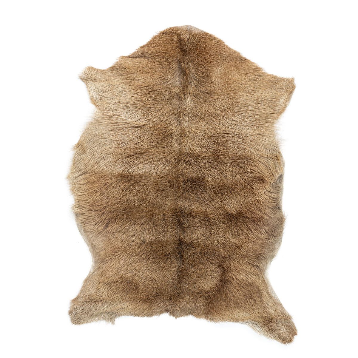 Premium geiteskinn | Tibet | 90x60 cm Naturlig lys