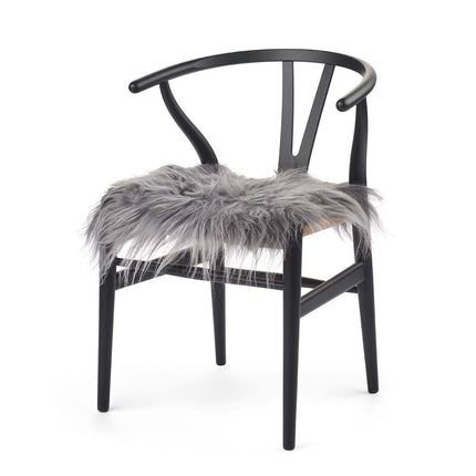 Setepute | Langhåret | Island | 40x40 cm