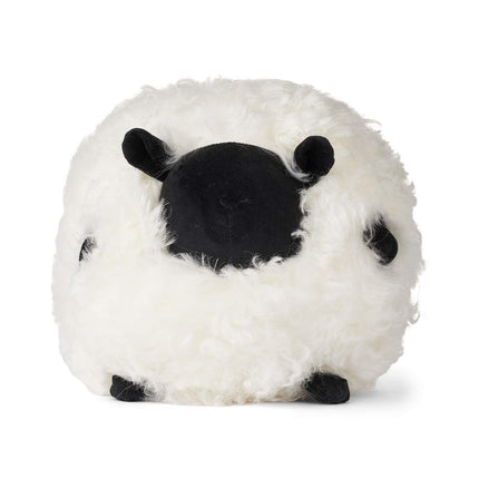 Cute Sheep | Korthåret | New Zealand | D28 cm