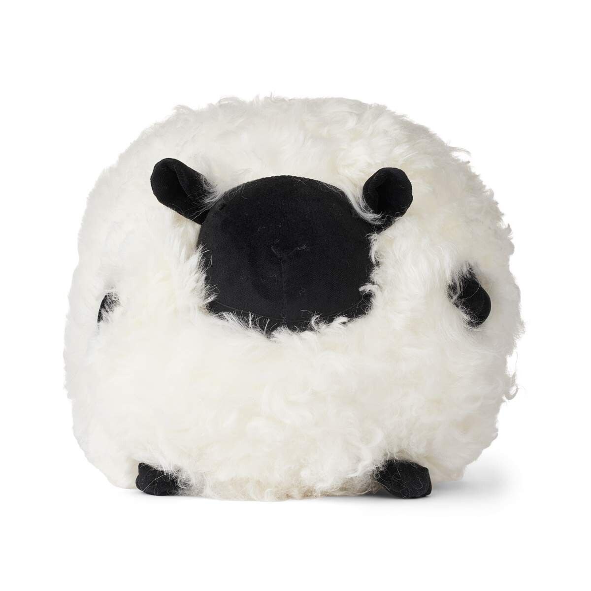 Cute Sheep | Korthåret | New Zealand | D28 cm