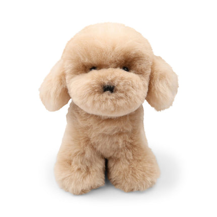 Teddybear Puppy | Islandsk Saueskinn Beige