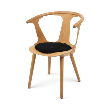 Setepute | Korthåret | New Zealand | D34 cm