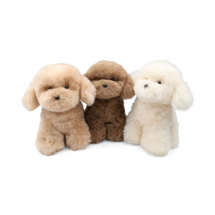 Teddybear Puppy | Islandsk Saueskinn