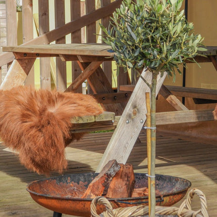 Eco Sheepskin | Mongolia | Natural Brown | ca. 90x60 cm Naturlig rødbrun