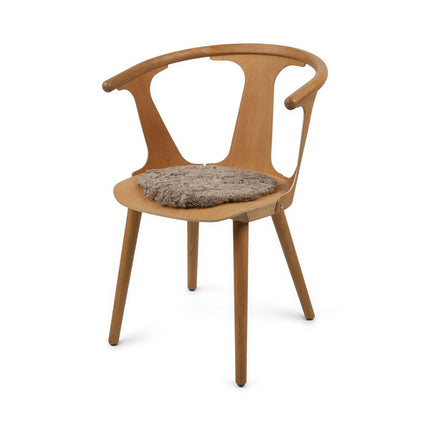 Setepute | Korthåret | New Zealand | D34 cm Sahara