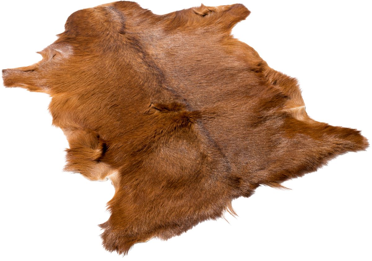 Premium geiteskinn | Tibet | 90x60 cm