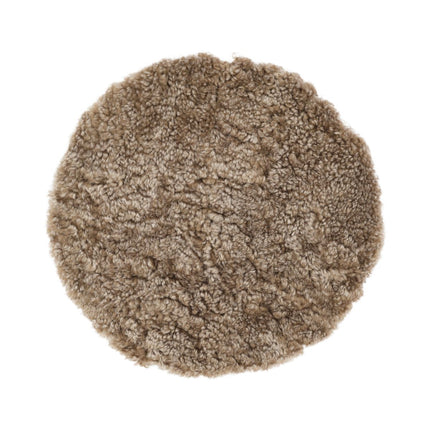 Setepute | Korthåret | New Zealand | D34 cm Sahara