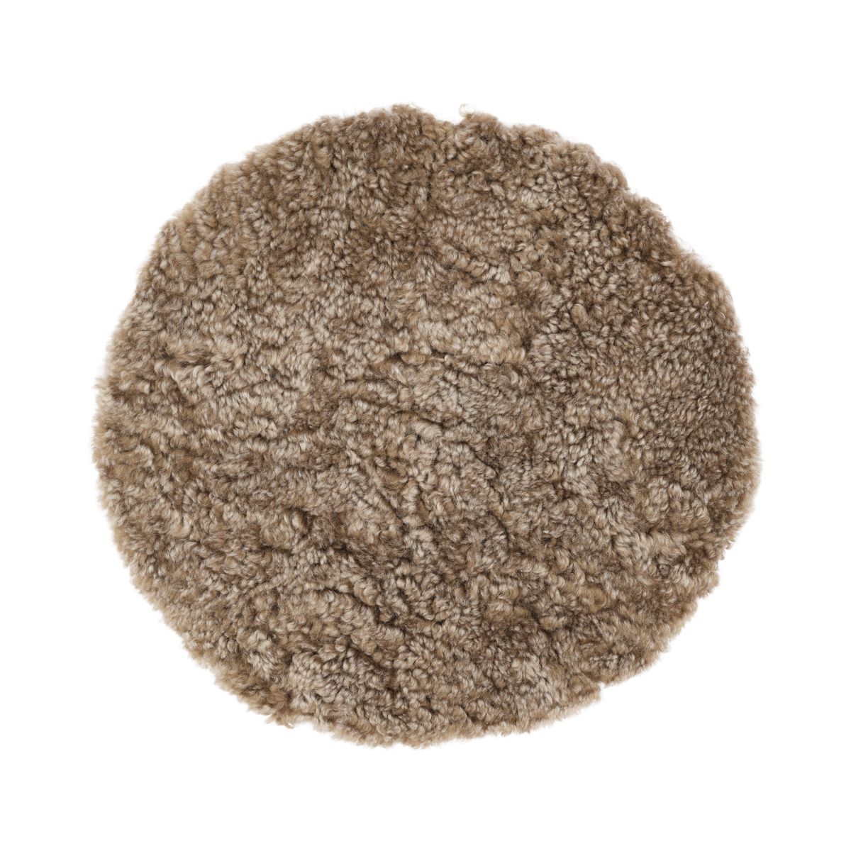 Setepute | Korthåret | New Zealand | D34 cm Sahara