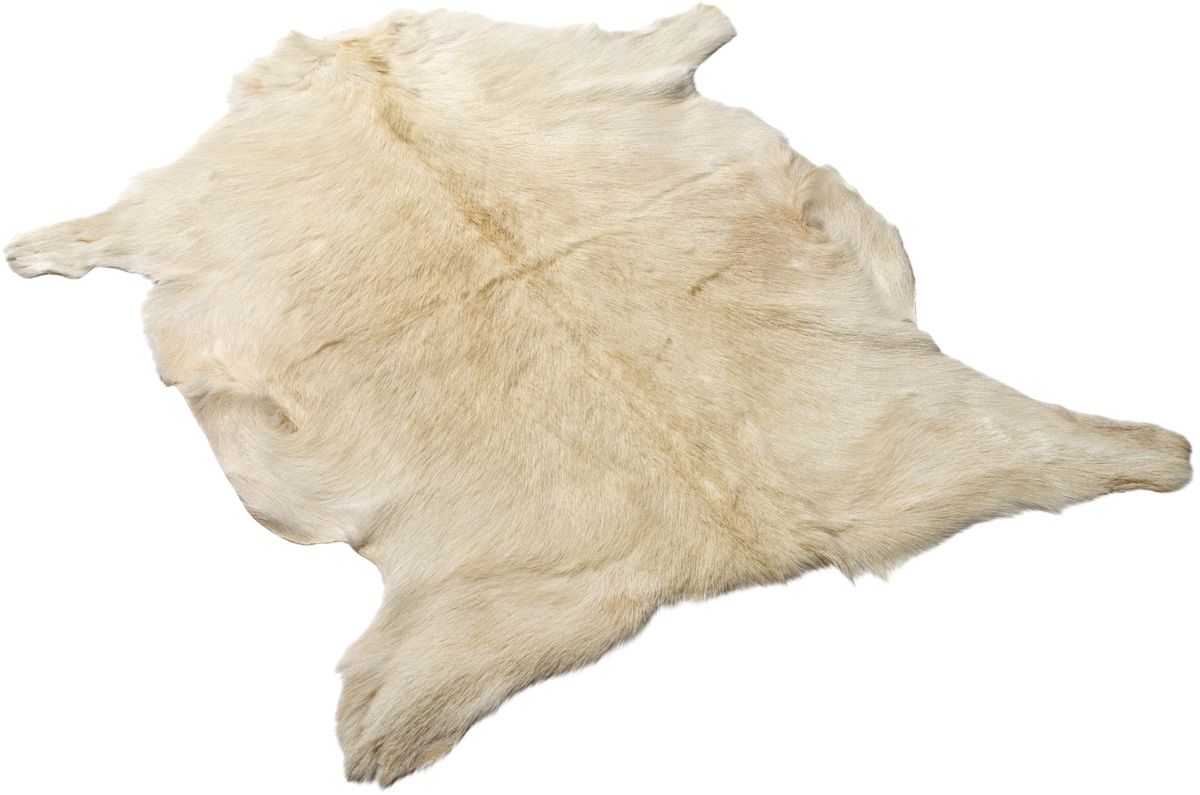 Premium geiteskinn | Tibet | 90x60 cm Hvit