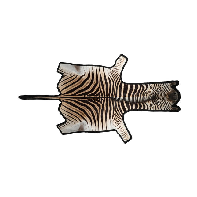 Sebraskinn | Premium kvalitet | Sør-Afrika