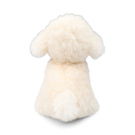 Teddybear Puppy | Islandsk Saueskinn Hvit