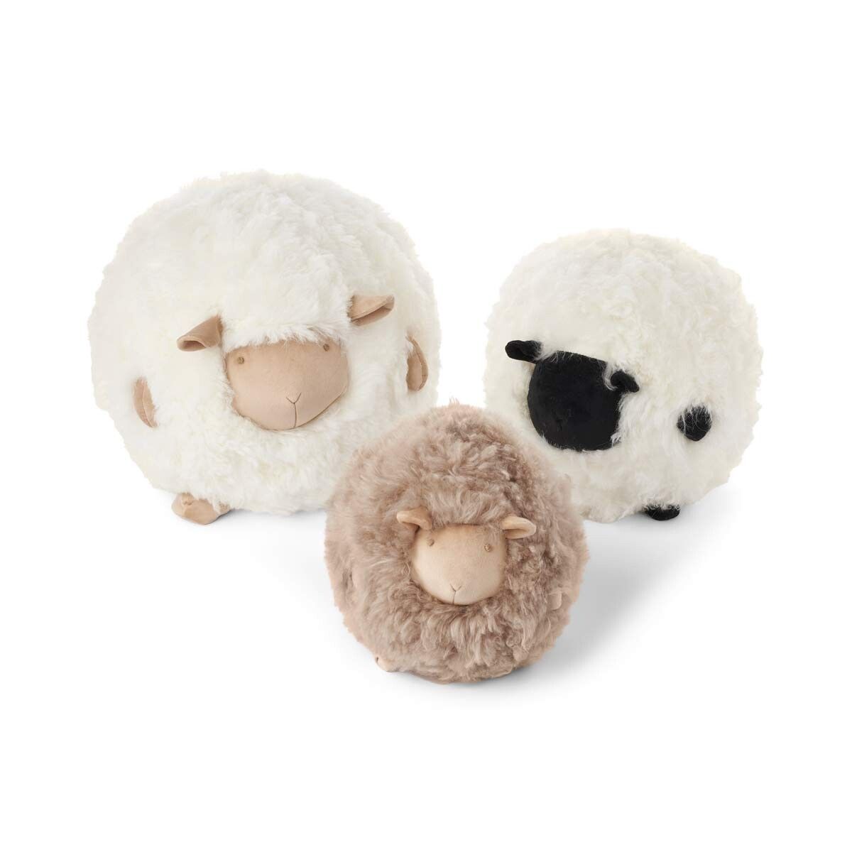Cute Sheep | Korthåret | New Zealand Ø30
