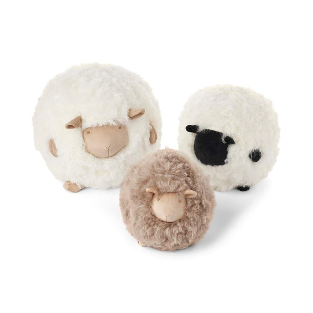 Cute Sheep | Korthåret | New Zealand | D28 cm
