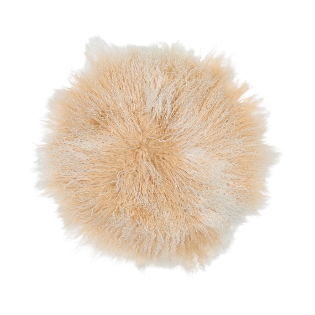 Setepute | Langhåret | Tibet | D34 cm Gylden Hvit