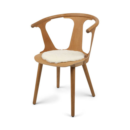 Setepute | Korthåret | New Zealand | D34 cm Hvit