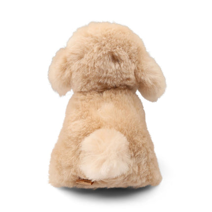 Teddybear Puppy | Islandsk Saueskinn Beige