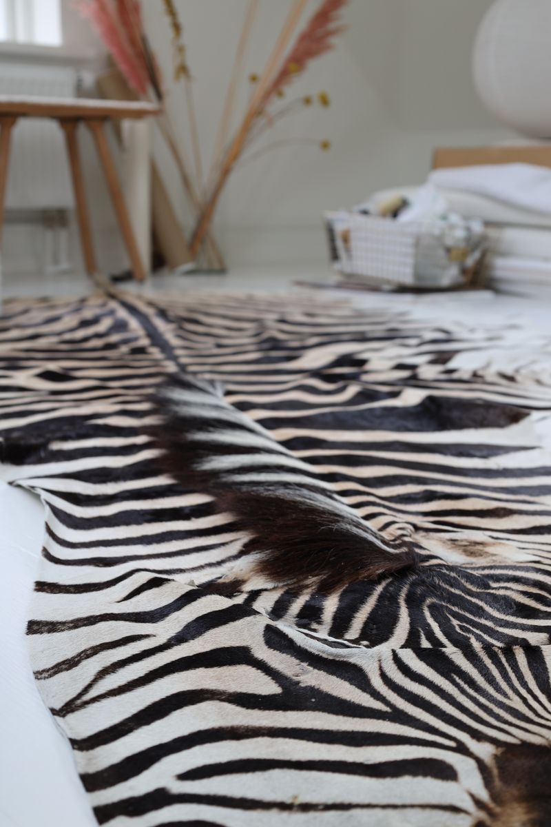 Sebraskinn Zebra
