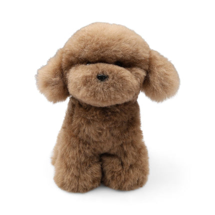 Teddybear Puppy | Islandsk Saueskinn Brun