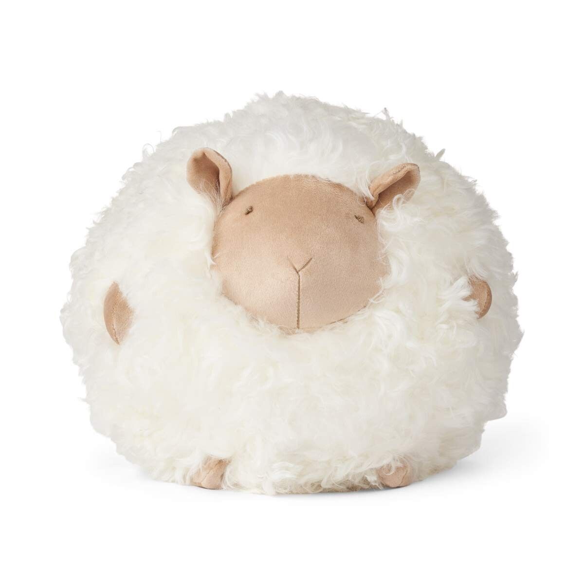 Cute Sheep | Korthåret | New Zealand Ø26