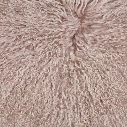 Gyngestolsetepute | Tibet Dove