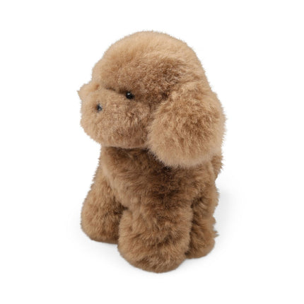 Teddybear Puppy | Islandsk Saueskinn Brun