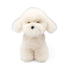Teddybear Puppy | Islandsk Saueskinn Hvit