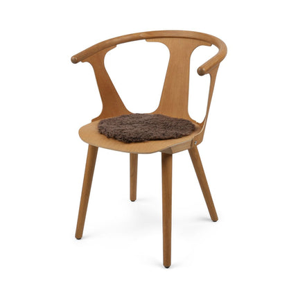 Setepute | Korthåret | New Zealand | D34 cm