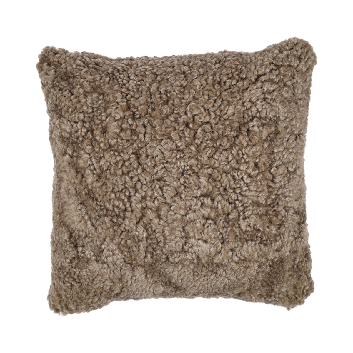 Saueskinnpute | Korthåret | New Zealand | 50x50 cm Sahara