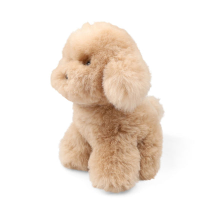 Teddybear Puppy | Islandsk Saueskinn Beige