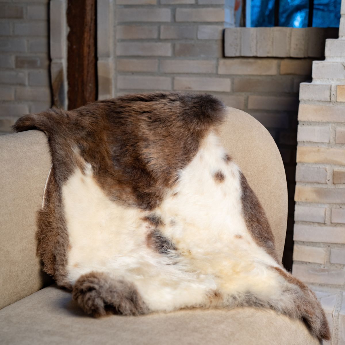 Økologiske saueskinn